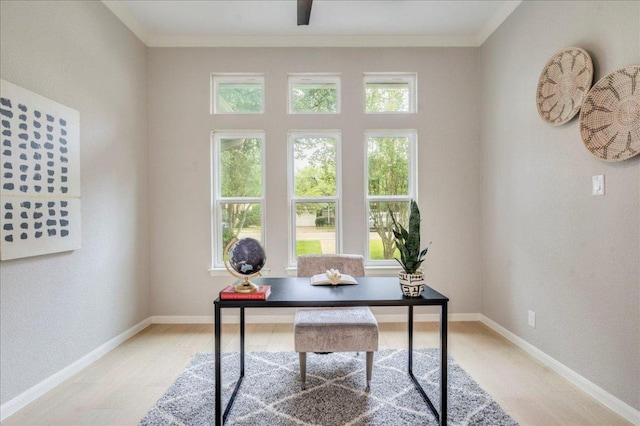 9110 Scotsman Dr, Austin, TX 78750 - office space with light wood-type flooring and ornamental molding