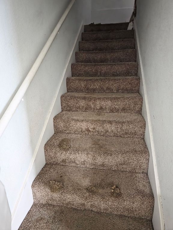 2124 Burton Dr Unit 116, Austin, TX 78741 - view of stairs