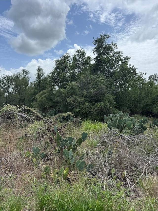 LOT687 Kawainui Ln, Bastrop, TX 78602