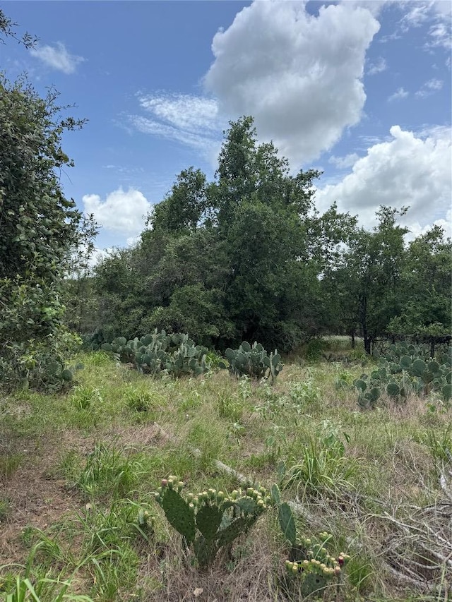 LOT687 Kawainui Ln, Bastrop, TX 78602