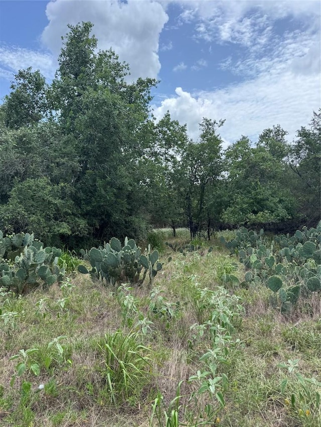 LOT687 Kawainui Ln, Bastrop, TX 78602