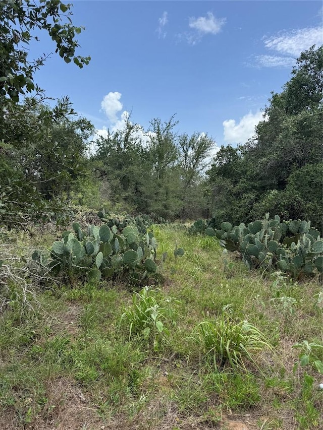 LOT687 Kawainui Ln, Bastrop, TX 78602