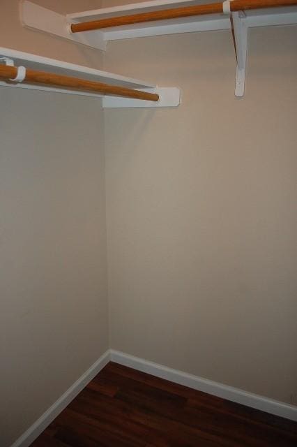 205 E Mitchell Dr, Hutto, TX 78634 - walk in closet featuring dark wood-style floors