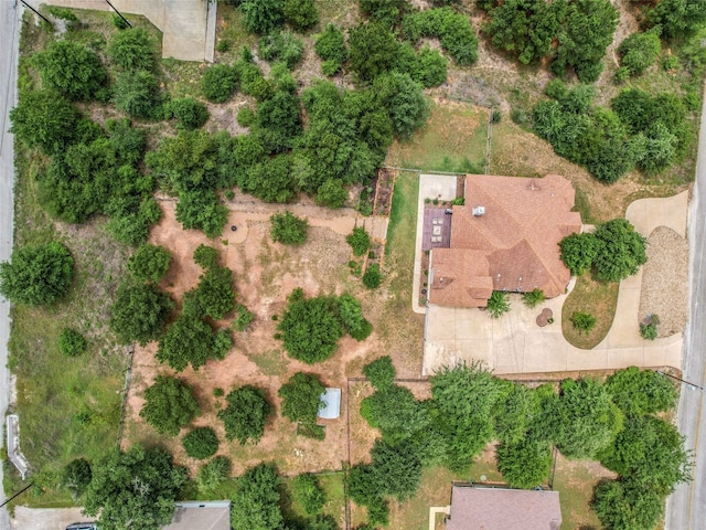 167 Manawianui Dr, Bastrop, TX 78602 - drone / aerial view