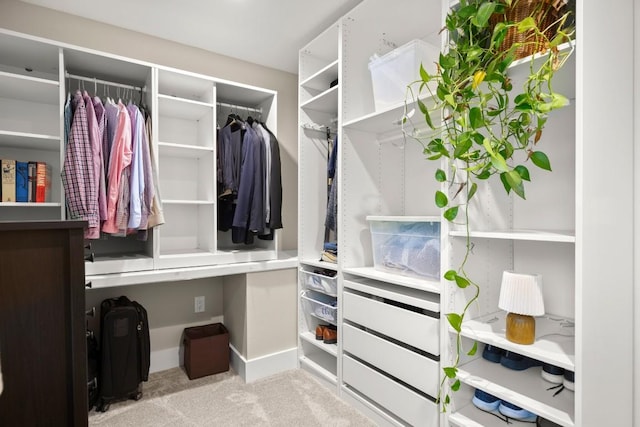935 La Posada Dr Unit 148, Austin, TX 78752 - walk in closet with carpet flooring