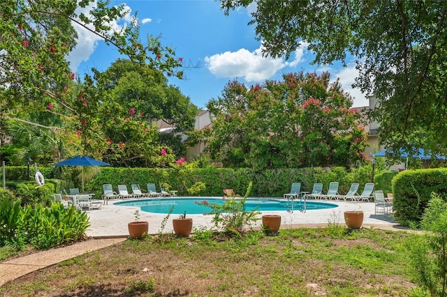 3801 Menchaca Rd Unit 6, Austin, TX 78704 - community pool with a patio area