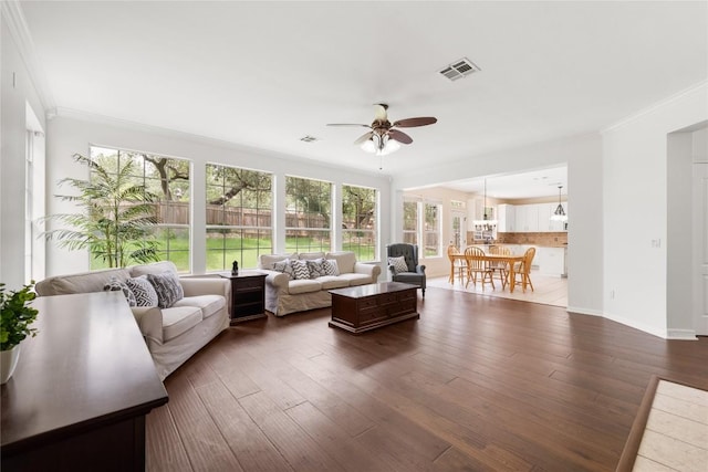 9527 Indigo Brush Dr, Austin, TX 78726 - living area with ceiling fan, crown molding, and dark wood finished floors