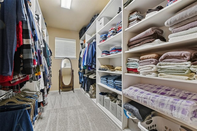 3713 Glastonbury Trl, Pflugerville, TX 78660 - spacious closet with carpet