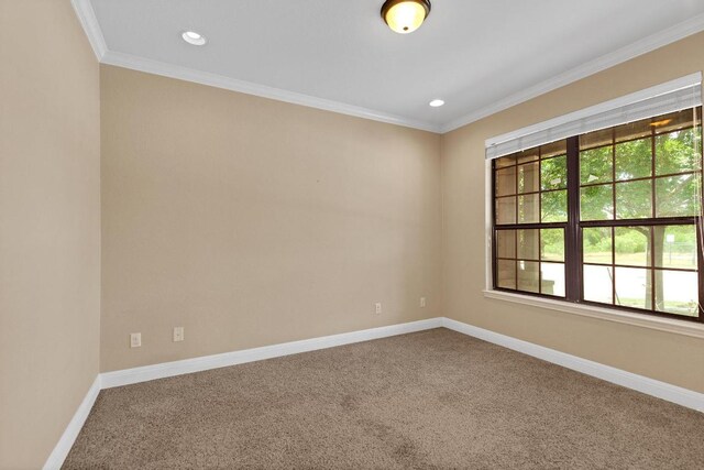 301 Wye Oak St, Austin, TX 78748 - empty room with carpet, crown molding, and recessed lighting