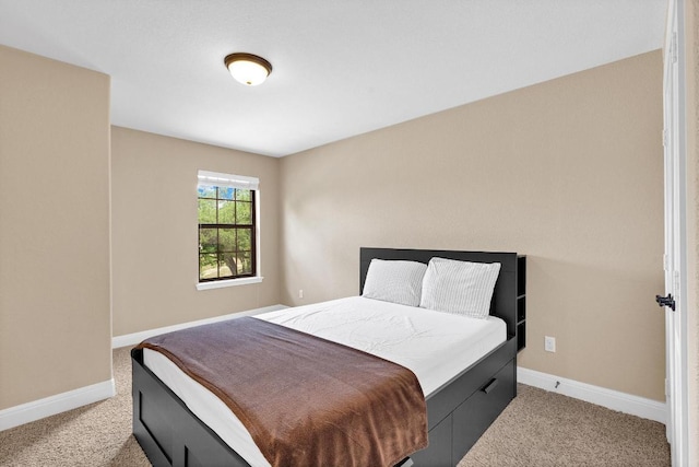 301 Wye Oak St, Austin, TX 78748 - bedroom featuring light carpet