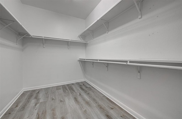 2836 Garnet Ridge Dr, Leander, TX 78641 - spacious closet with light wood-style flooring
