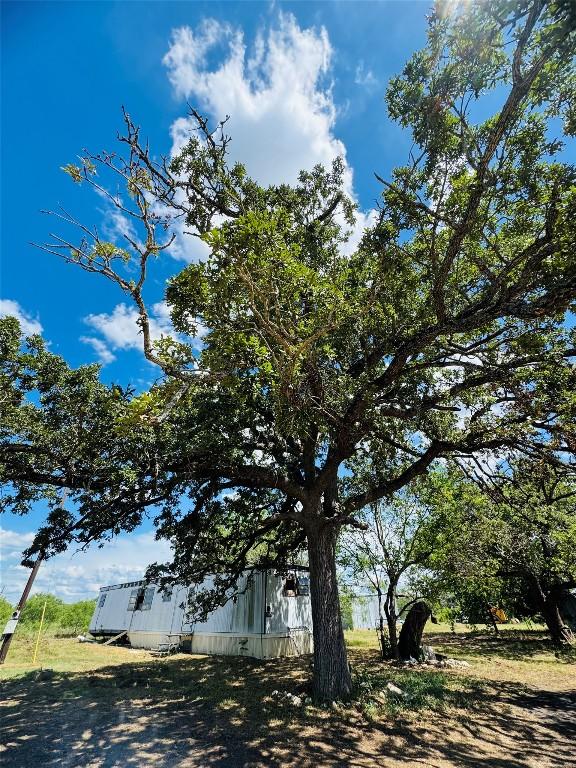 1194 Track Rd, Red Rock, TX 78662