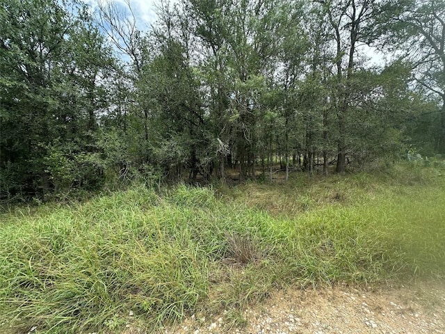 187 Puu Waa Waa Ln, Bastrop, TX 78602