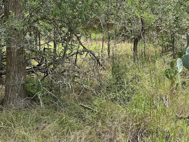 187 Puu Waa Waa Ln, Bastrop, TX 78602