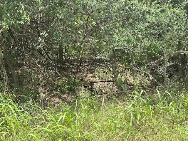 187 Puu Waa Waa Ln, Bastrop, TX 78602
