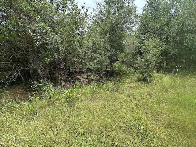 187 Puu Waa Waa Ln, Bastrop, TX 78602