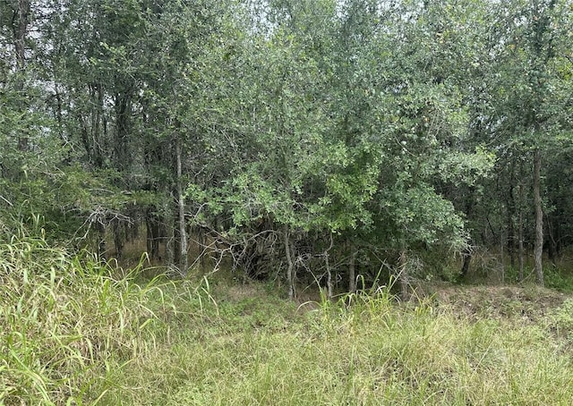 109 Halawa Ct, Bastrop, TX 78602