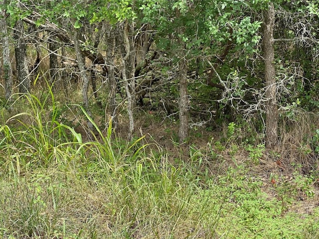 109 Halawa Ct, Bastrop, TX 78602