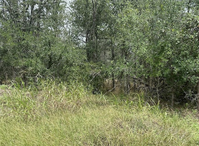 109 Halawa Ct, Bastrop, TX 78602