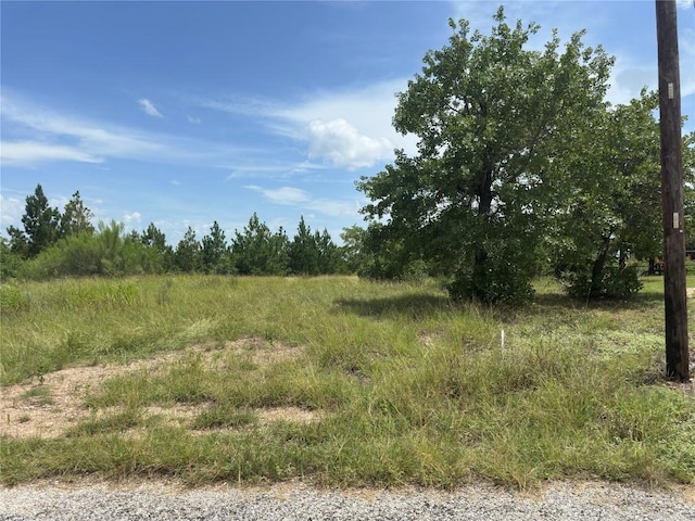 141 Tall Forest Dr, Bastrop, TX 78602