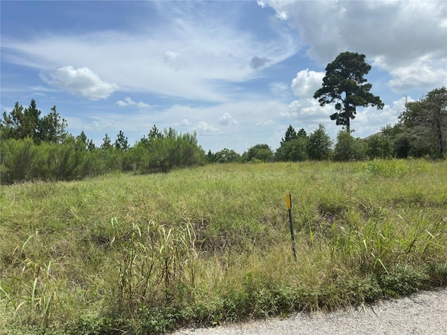 141 Tall Forest Dr, Bastrop, TX 78602