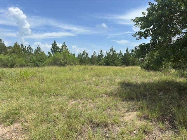 141 Tall Forest Dr, Bastrop, TX 78602