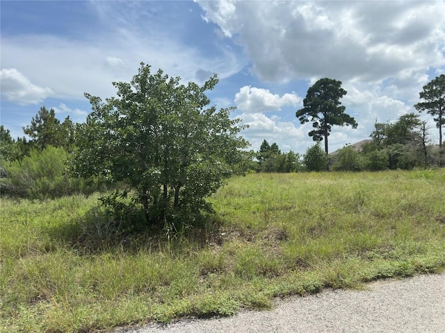 141 Tall Forest Dr, Bastrop, TX 78602