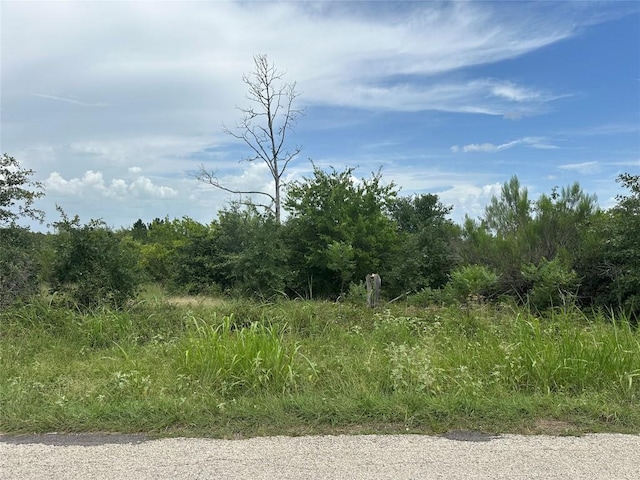 TBD Mcallister Rd, Bastrop, TX 78602