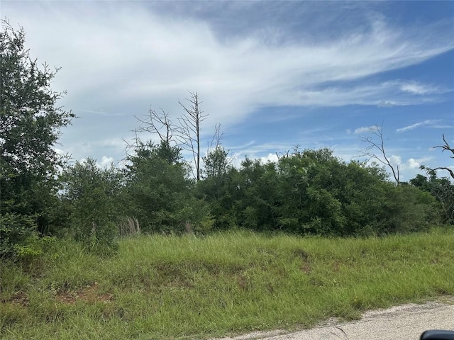 TBD Mcallister Rd, Bastrop, TX 78602