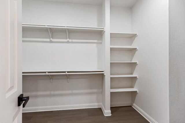 811 Zappa Dr, Cedar Park, TX 78613 - spacious closet featuring wood finished floors