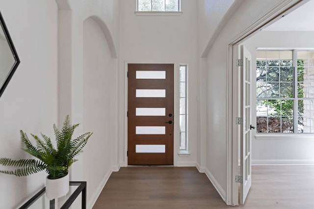 811 Zappa Dr, Cedar Park, TX 78613 - foyer entrance featuring wood finished floors and healthy amount of natural light