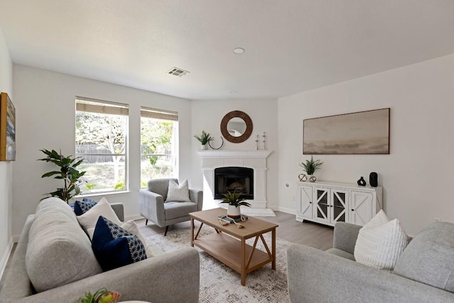 811 Zappa Dr, Cedar Park, TX 78613 - living area featuring wood finished floors and a fireplace with raised hearth