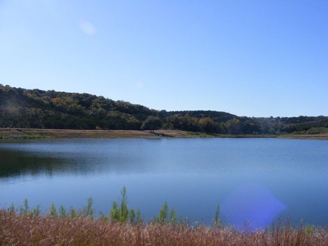 218 Spring Hollow Dr, Bertram, TX 78605