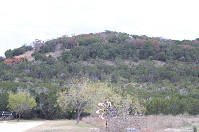 218 Spring Hollow Dr, Bertram, TX 78605
