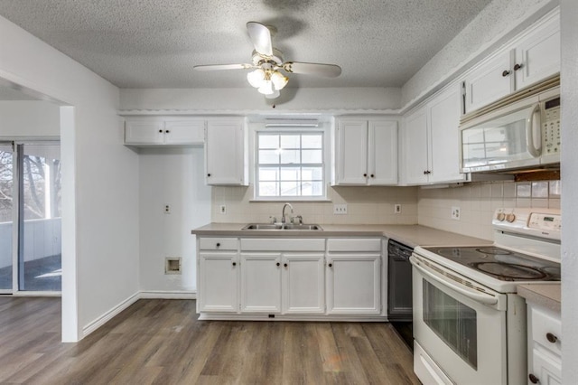 1300 Ray Berglund Blvd, Round Rock, TX 78664 - photo 12