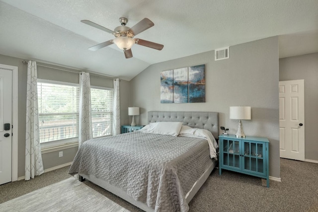 2018 Shadowbrook Cir, Round Rock, TX 78681 - carpeted bedroom with lofted ceiling, ceiling fan, and a textured ceiling