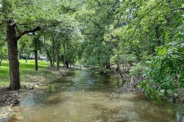 2018 Shadowbrook Cir, Round Rock, TX 78681 - water view