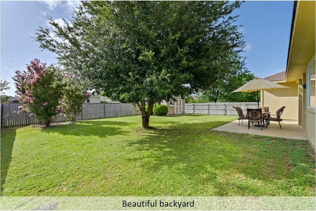 118 Lone Star Blvd, Hutto, TX 78634 - fenced backyard with a patio area and a shed