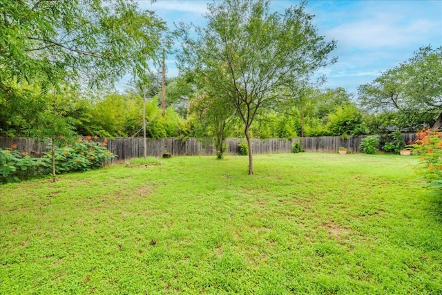 6602 Daugherty St, Austin, TX 78757 - view of fenced backyard