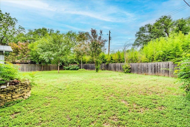 6602 Daugherty St, Austin, TX 78757 - view of fenced backyard