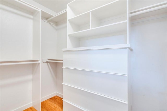 6602 Daugherty St, Austin, TX 78757 - walk in closet with light wood finished floors