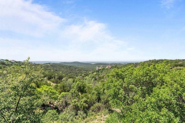 8152 Breeze Way, Jonestown, TX 78645 - view of mountain background with a heavily wooded area