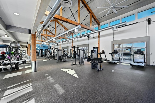 20209 Harrier Flight Trl, Pflugerville, TX 78660 - exercise room with a towering ceiling, healthy amount of natural light, and a ceiling fan