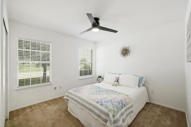 20209 Harrier Flight Trl, Pflugerville, TX 78660 - bedroom featuring carpet and a ceiling fan