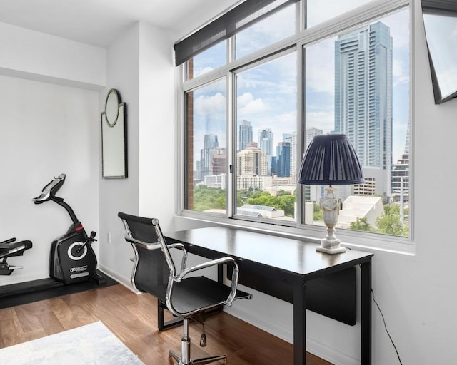 54 Rainey St Unit 1018, Austin, TX 78701 - office area featuring a skyline view and wood finished floors