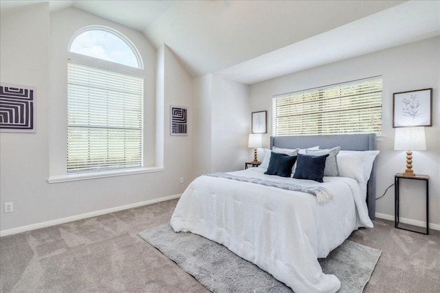 206 Live Oak Dr, Mountain City, TX 78610 - carpeted bedroom with lofted ceiling and baseboards