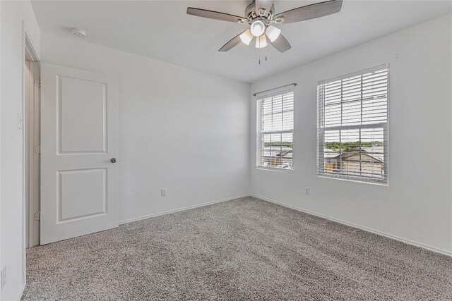 312 Bronco Billy Dr, Jarrell, TX 76537 - photo 28