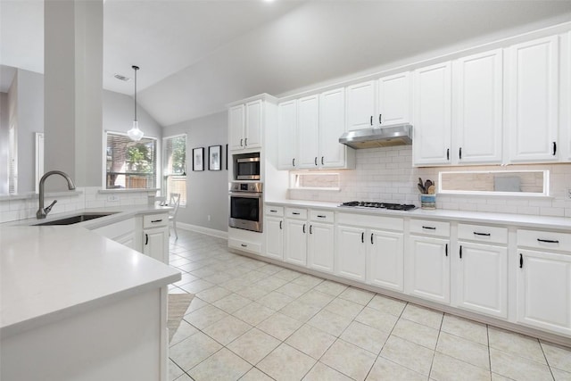 10408 Hansa Dr, Austin, TX 78739 - kitchen featuring appliances with stainless steel finishes, under cabinet range hood, light tile patterned floors, vaulted ceiling, and tasteful backsplash