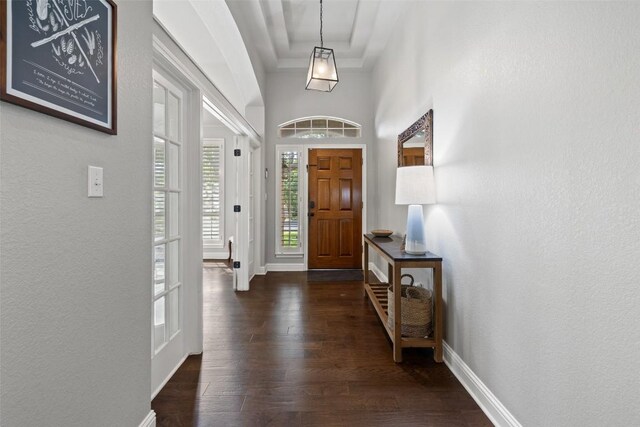10408 Hansa Dr, Austin, TX 78739 - entryway with dark wood-style floors, a raised ceiling, and a textured wall