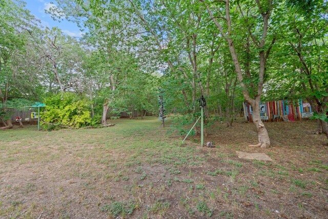 10000 Gail Rd, Austin, TX 78748 - view of yard
